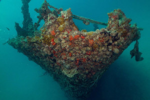 shipwreck-dive-tours-miami